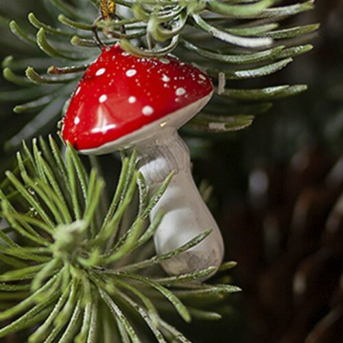 Мухомор гриб (мини) фото