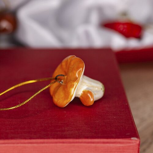 Лисички гриб (мини) фото