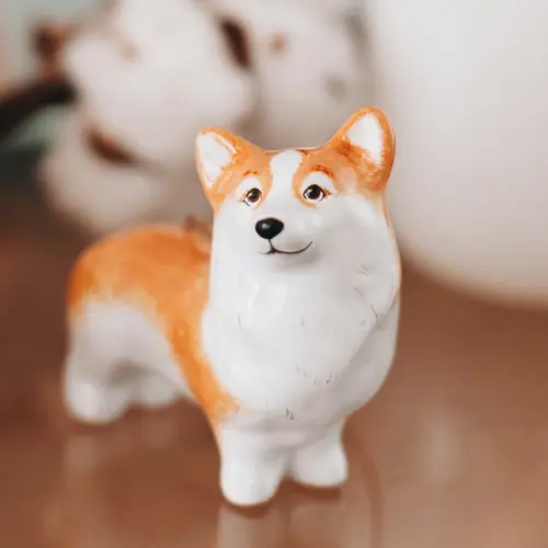 Корги Корги фото