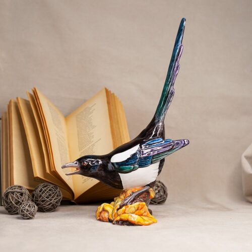 Сорока фото