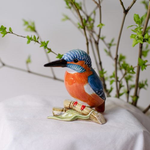 Зимородок фото