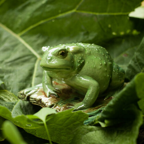 Статуэтка Жаба (глазурь) фото